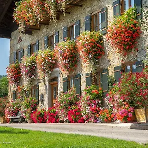 Bachtelhuber-hof Bauernhof